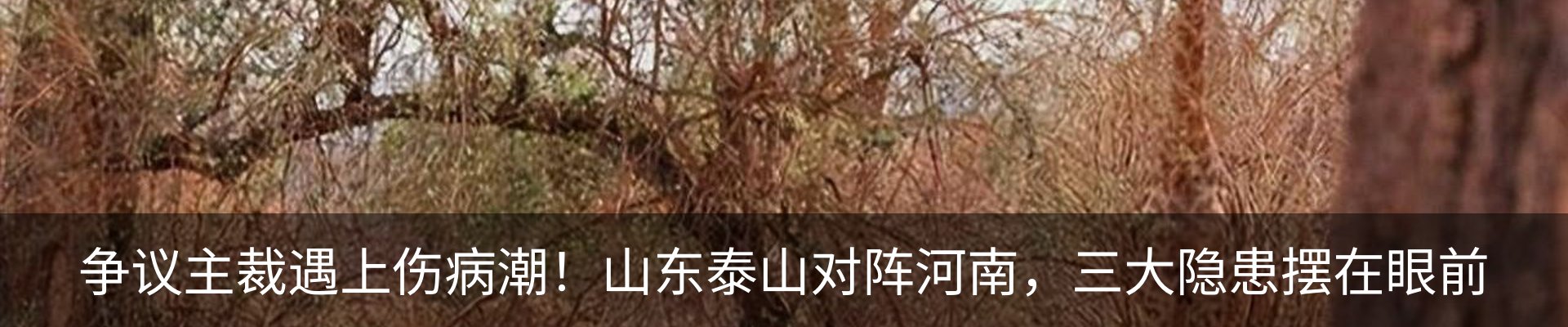 行业资讯